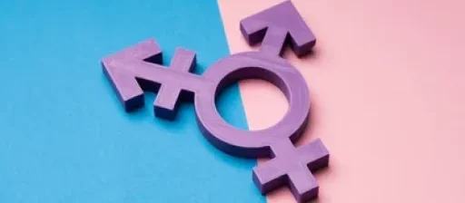 İstanbul Travesti Arkadaşlar | Yeni Dostluklar